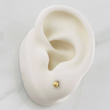 Topos Bola Lisa 0.45g / in / 3mm Oro Amarillo 18K