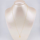 Set Cadena Veneciana + Dije Virgen Milagrosa / 1.25 g / 19 3/4 in Oro Amarillo 18K