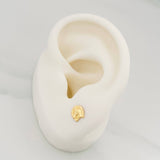 Topos Herradura Caballo 0.7 g / in / 5.8 mm Oro Amarillo 18K