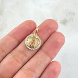 Pendant Virgen del Carmen 2.45gr / 2cm / White Zircons Two-tone Yellow and Rose Gold 18K *