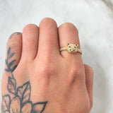Anillo Oso 2.3gr / T7 1/2 / Oro Amarillo 18K ©
