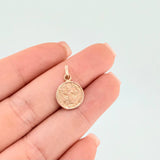 Dije San Benito 1gr / 3/4 in / Oro Rosa 18K ©