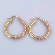 Lady Hoop Earrings 2.9gr / 3/4 in / Three 18K Golds &