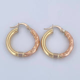 Lady Hoop Earrings 2.9gr / 3/4 in / Three 18K Golds &