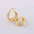 Hoop Earrings Ash 2.9g / 3/4 in Three Golds 18K