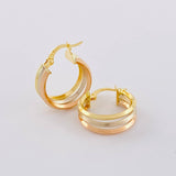 Hoop Earrings Ash 2.9g / 3/4 in Three Golds 18K