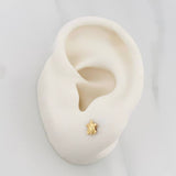 Topos Tortuga 0.55 g / in / 4.8 mm Oro Amarillo 18K