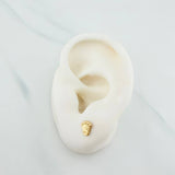 Stud Earrings Corona 0.6 g / in / 6.8 mm Yellow Gold 18K