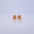 Topos Silueta Oso Ts 0.55gr / Liso Oro Amarillo 18K &