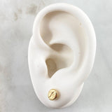 Topos Grano Café 0.65gr / Oro Amarillo 18K