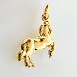 Dije Caballo 0.85gr / 3/4 in / Oro Amarillo 18K