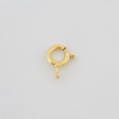 Reasa 0.35 g Oro Amarillo 18K