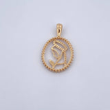 Dije Virgen Maria 2.95gr / 3.1cm / Circones Blancos Oro Amarillo 18K &