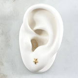 Topos Estrella 0.6gr / 5.2mm Oro Amarillo 18K ©