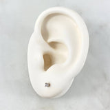 Stud Earrings Box 0.5gr / 2mm 18K White Gold ©