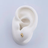 Topos Rana 0.6gr / Circones Azul Blancos Oro Amarillo 18K &