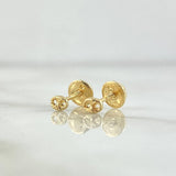 Stud Earrings GC 0.6gr / 18K Gold