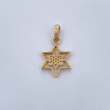 Pendant Star 1.35gr / 2.4cm / White Zircons / Two 18K Yellow and White Golds &