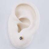 Topos Seis Garras Diamantes 25Pts 0.65 g / in / 3.6 mm Oro Amarillo 18K