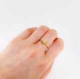 Anillo Hoja De Cafe 1.75 g / T7 1/4 Oro Amarillo 18K