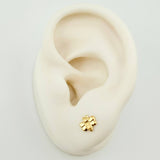 Topos Abeja 0.6gr / 6mm Oro Amarillo 18K