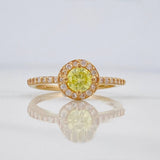 Anillo Halo 2 g / T7 1/4 Oro Amarillo 18K