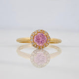 Anillo Halo 2 g / T6 3/4 Oro Amarillo 18K