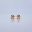 Topos Estrella 0.55gr / Lisos Oro Amarillo 18K &