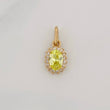 Pendant Oval Halo 0.7g / 1/2 in Yellow Gold 18K