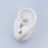 Topos Pez 0.8gr / Circones Blancos Azules Oro Amarillo &