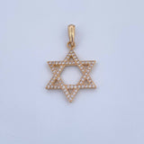 Pendant Star of David 2.95gr / 3.5cm / White Zircons 18K Yellow Gold &