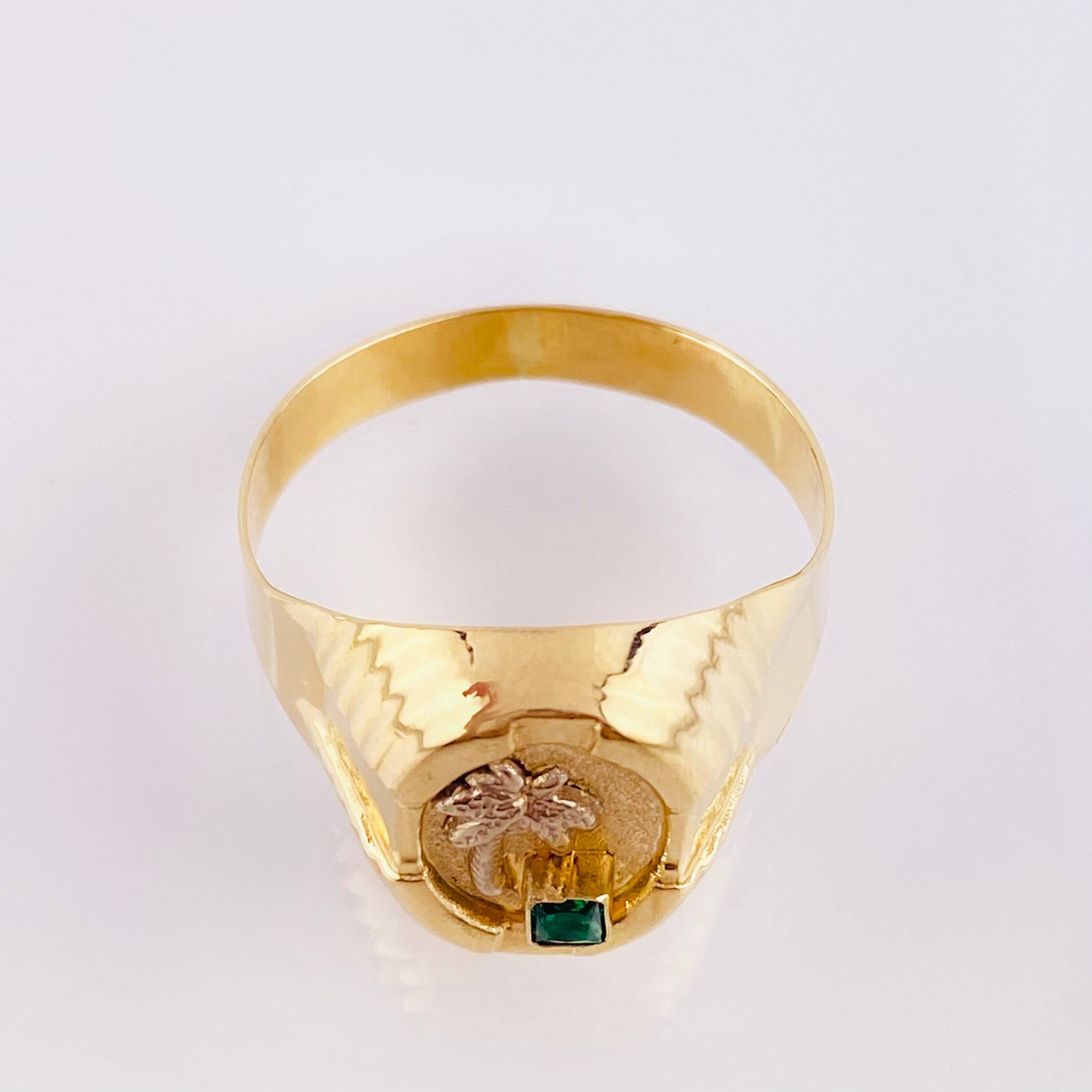 Anillo Marco Palmera 3.3gr / T9 1/4 / Oro Amarillo 18K ©