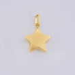 Dije Estrella 0.85g / 3/4 in Oro Amarillo 18K