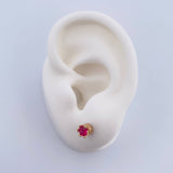 Topos Halo 1.55gr / Circones Fucsias Blancos Oro Amarillo 18K &