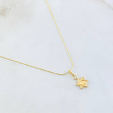Set Cadena y Dije Aguja Trenzada + Estrella De David 1.15gr / 17 3/4 in / Oro Amarillo 18K