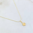 Set Cadena y Dije Hilo Petit + Estrella De David  1.25gr / 17 3/4 in / Oro Amarillo 18K *