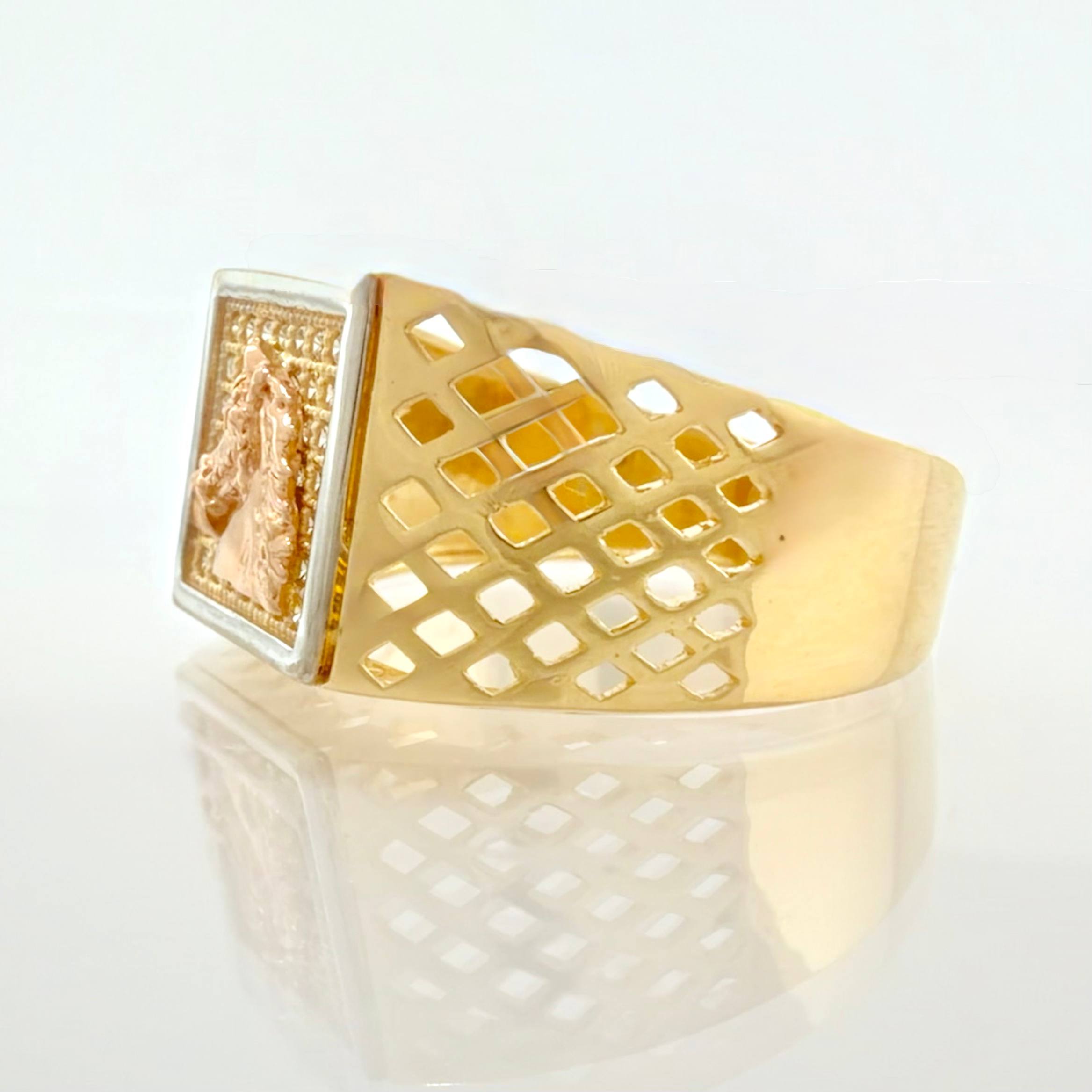 Horse Framed Mesh Ring 6.3gr / T10 / 18K Three Golds