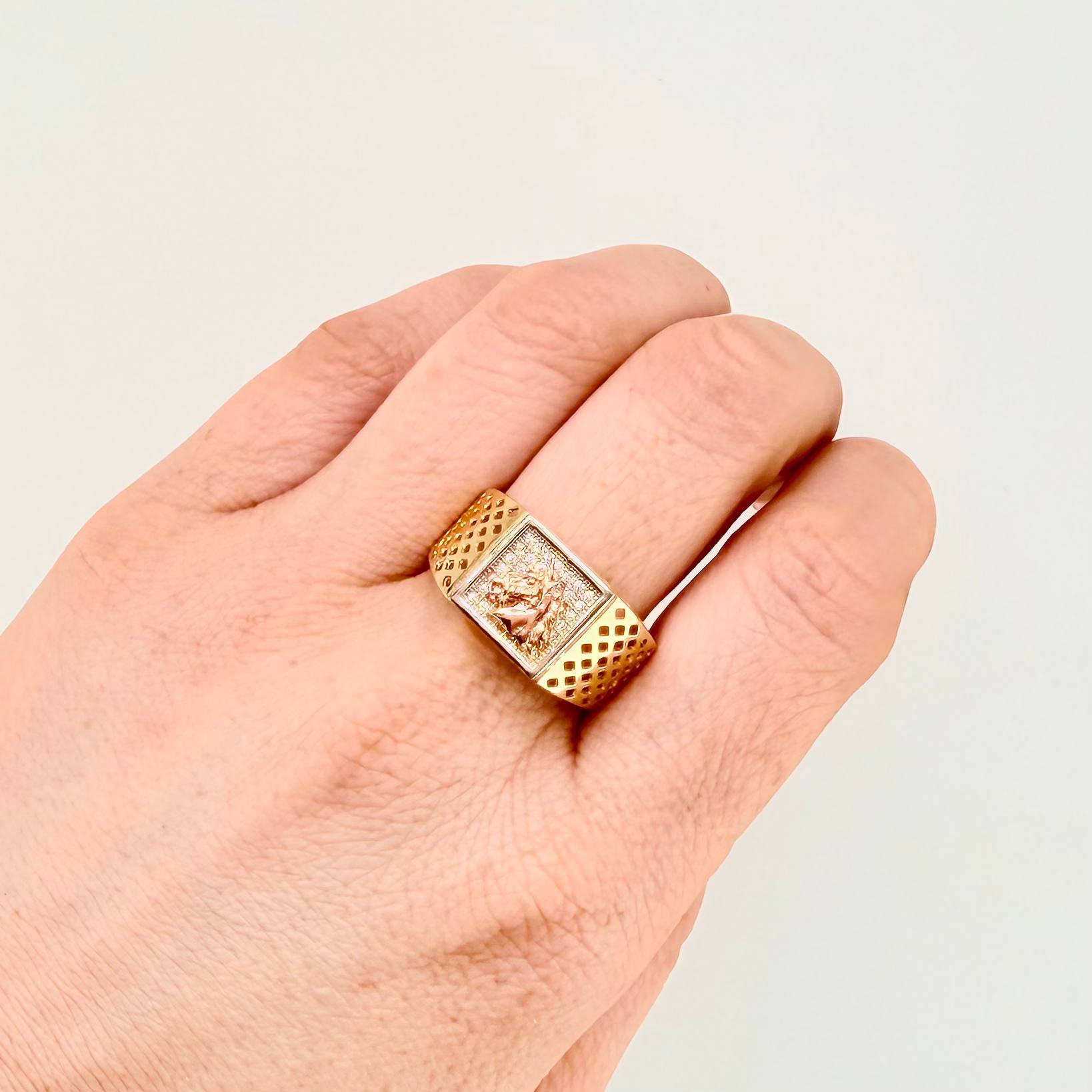 Horse Framed Mesh Ring 6.3gr / T10 / 18K Three Golds