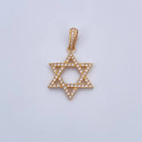 Dije Estrella De David 4.05gr / 3.6cm / Circones Blancos Oro Amarillo 18K &