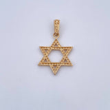 Pendant Star of David 4.25gr / 3.7cm / White Zircons 18K Yellow Gold &