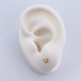 Stud Earrings Butterfly 0.45gr / White Zircon Yellow Gold 18K $