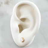 Stud Earrings Clover 0.75gr / 6mm Dotted Edge White Resin 18K Yellow Gold ©