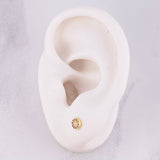 Topos Circulo Tupido 0.7g / in / 4.9mm Oro Amarillo 18K