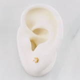 Four Claw Stud Earrings 0.6g / in / 3.1mm Yellow Gold 18K