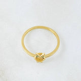 Anillo Buho 1.45gr / T6 / Oro Amarillo 18K *
