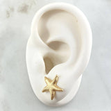Starfish Stud Earrings 2.05gr / 0.5in / 18K Gold