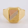 Anillo Sello 3.35 g / T10 3/4 Tres Oros 18K