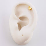 Piercing Fantasma 0.55 g / 1/2 in Oro Amarillo 18K