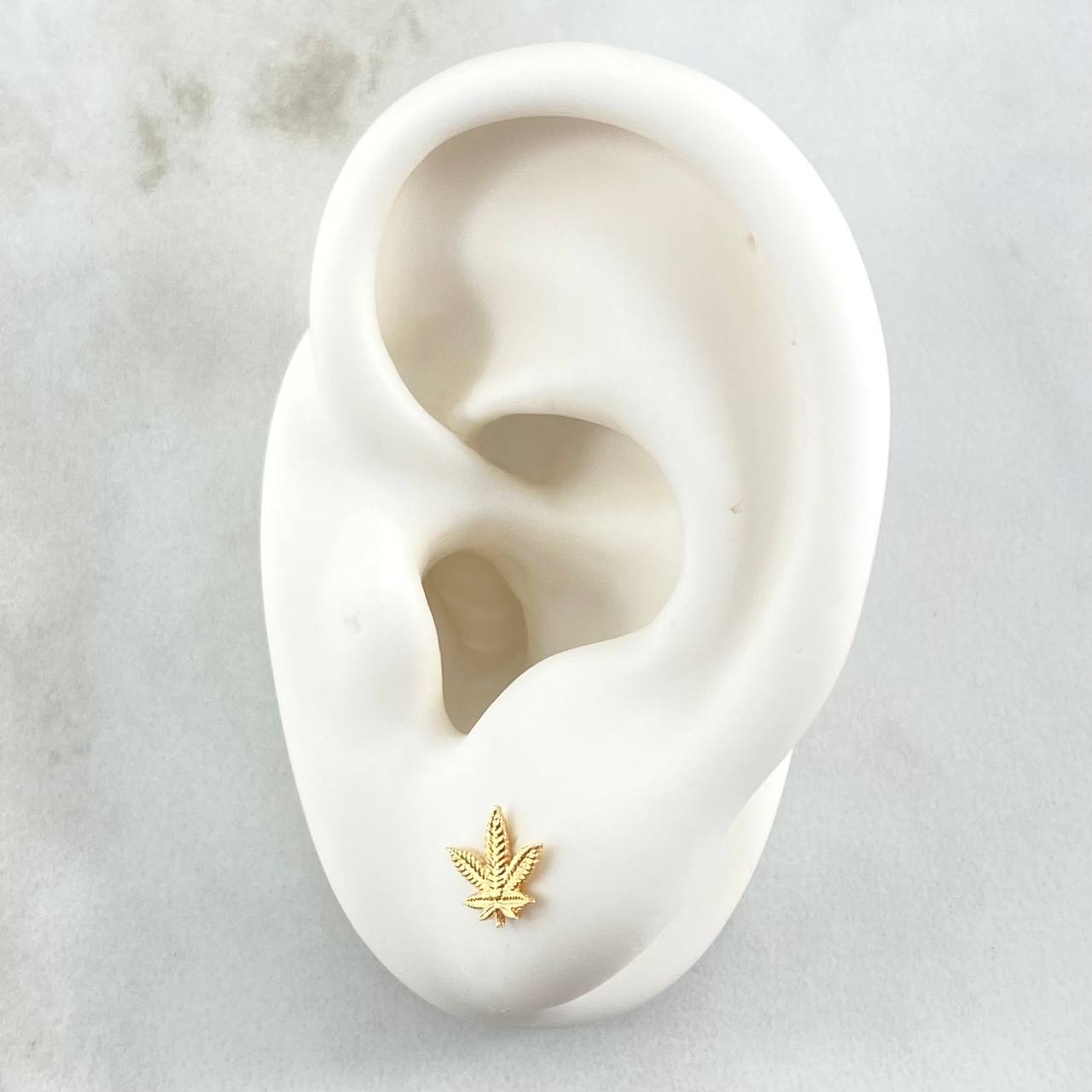 Stud Earrings Leaf 0.75gr / 18K Yellow Gold ©