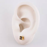 Topos Set Trebol 2g / in / 5.2mm Oro Amarillo 18K